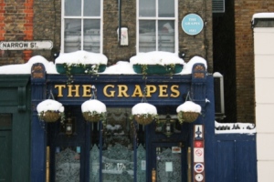 The Grapes