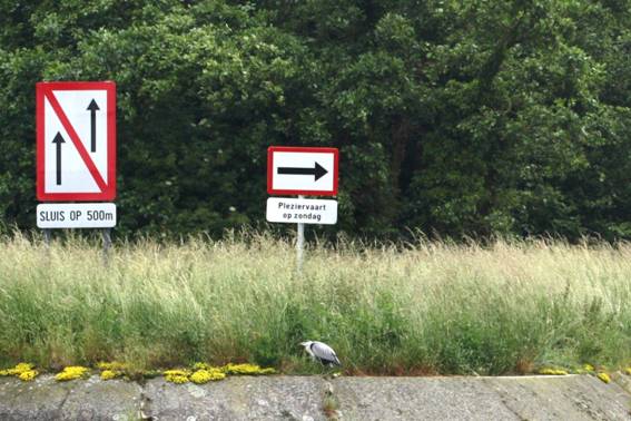 Signs to translate.jpg