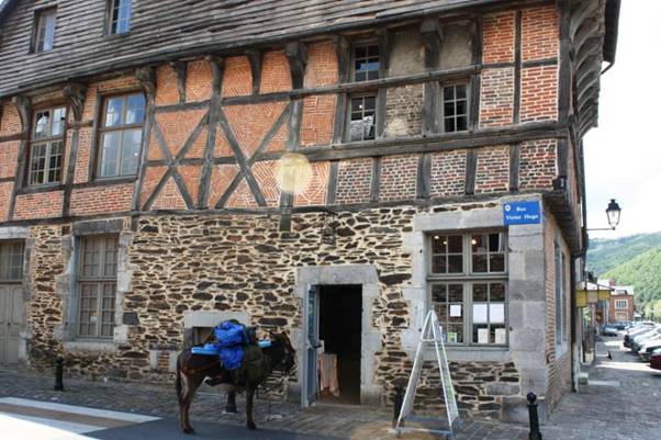 Donkey at tourist office.jpg